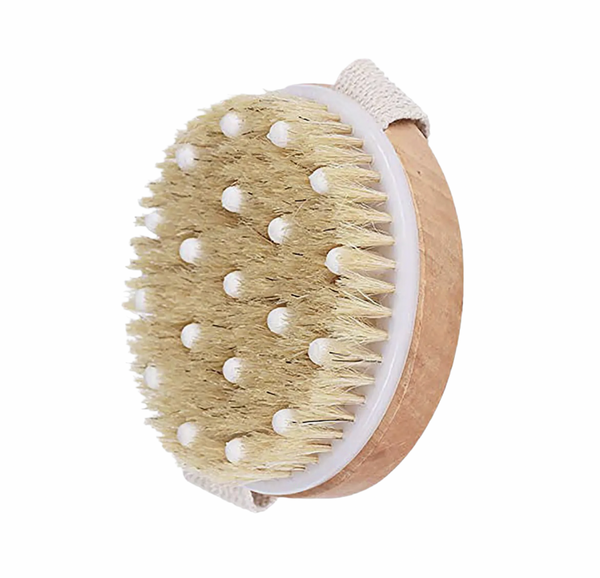 Body
Brush